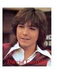 Enlarge image Cover: David Cassidy - Lulu.com