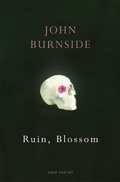Cover: Ruin, Blossom - Vintage Digital