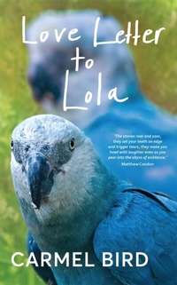 Abbildung von: Love Letter to Lola - Spineless Wonders Publishing Pty Ltd