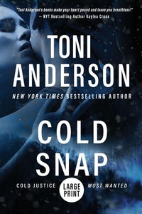 Enlarge image Cover: Cold Snap - Toni Anderson