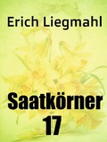 Cover: Saatk&ouml;rner 17 - Books on Demand