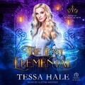 Cover: The Lost Elemental - Tantor Audio