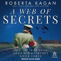 Cover: A Web of Secrets - Tantor Audio