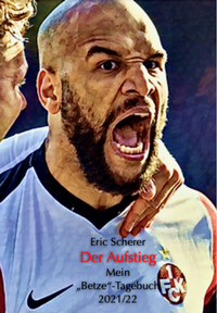 Enlarge image Cover: Der Aufstieg - Dr. Feelbook