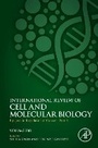 Cover: Epigenetic Regulation of Cancer - Part A: Volume 380 - Academic Press