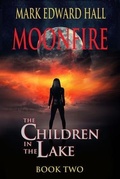 Cover: Moonfire - Lost Village Publishing