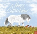 Cover: A Horse Called Now - Nosy Crow Ltd