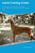 Cover: Saluki Training Guide Saluki Training Includes - Desert Thrust Ltd