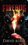 Cover: Firebug - Wicked House Publishing