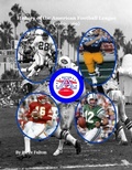 Cover: History of the American Football League {1960-1969} (NFL Series, #9) - Steve Fulton