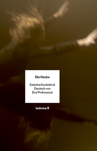 Enlarge image Cover: Die Haube - INK Press