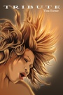 Cover: Tribute: Tina Turner - TidalWave Productions