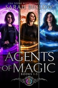Cover: Agents of Magic The Complete Series (Seasons of Magic Universe Boxed Sets and Bundles, #2) - Biglow Fantasy Reads