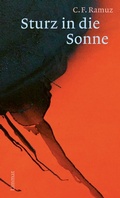 Cover: Sturz in die Sonne - Limmat Verlag