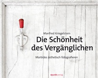 Abbildung von: Die Schönheit des Vergänglichen - dpunkt