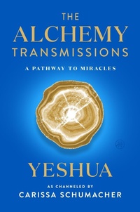 Enlarge image Cover: The Alchemy Transmissions - HarperOne