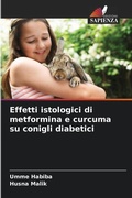 Cover: Effetti istologici di metformina e curcuma su conigli diabetici - Edizioni Sapienza