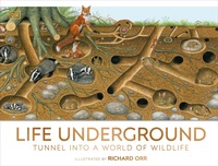 Enlarge image Cover: Life Underground - DK Children