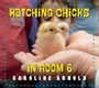 Cover: Hatching Chicks in Room 6 - Imagine Publishing, Inc