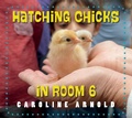 Cover: Hatching Chicks in Room 6 - Imagine Publishing, Inc