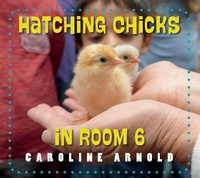 Enlarge image Cover: Hatching Chicks in Room 6 - Imagine Publishing, Inc