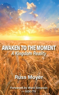 Enlarge image Cover: Awaken to the Moment - McDougal & Associates