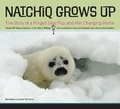 Cover: Natchiq Grows Up - University Press of Colorado