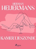 Cover: Kamertjeszonde - Saga Egmont