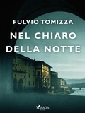 Cover: Nel chiaro della notte - Saga Egmont