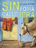 Cover: Sinfon&iacute;a callejera - Saga Egmont