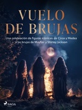 Cover: Vuelo de brujas - Saga Egmont