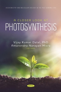 Abbildung von: Closer Look at Photosynthesis - Nova