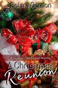 Cover: A Christmas Reunion (Cauldron Falls) - The Earth Moved, LLC