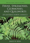 Cover: Ferns, Spikemosses, Clubmosses, and Quillworts of Eastern North America - Princeton University Press