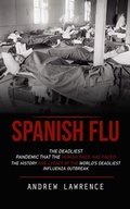 Cover: Spanish Flu - Andrew Lawrence