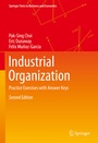 Cover: Industrial Organization - Springer