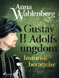 Cover: Gustav II Adolfs ungdom: historisk ber&auml;ttelse - Saga Egmont