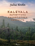 Cover: Kalevala katsottuna kaunotieteen kannalta - Saga Egmont