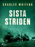 Cover: Sista striden - Saga Egmont
