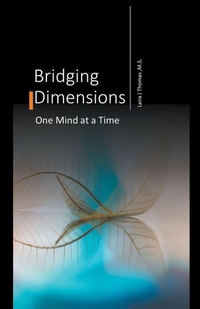 Enlarge image Cover: Bridging Dimensions One Mind at a Time - Draft2digital