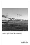 Cover: The Experience of Meaning - De Gruyter