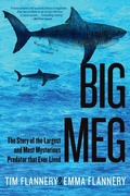 Cover: Big Meg - Grove Press / Atlantic Monthly Press