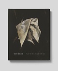 Cover: Radu Belcin. Flowing Memories - Goldenstein, Uwe