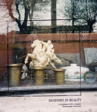 Enlarge image Cover: Shadows of Reality - MIT Press