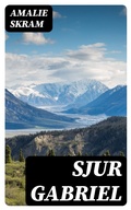 Cover: Sjur Gabriel - e-artnow