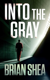 Enlarge image Cover: Into the Gray - Severn River Publishing