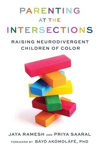 Enlarge image Cover: Parenting at the Intersections - Chicago Review Press