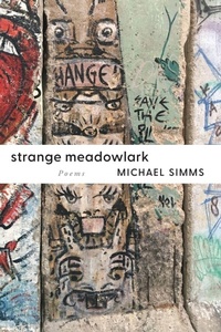 Enlarge image Cover: Strange Meadowlark - Ragged Sky Press