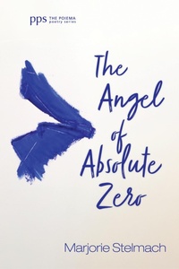 Enlarge image Cover: The Angel of Absolute Zero - Wipf and Stock Publishers