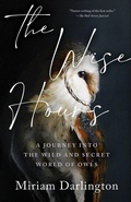 Cover: The Wise Hours - Zando